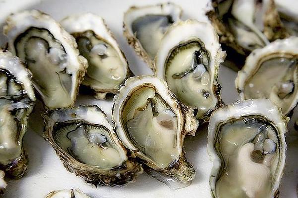 岡山特産日生牡蠣を食べよう!2022年の解禁日や人気店9選を紹介のイメージ