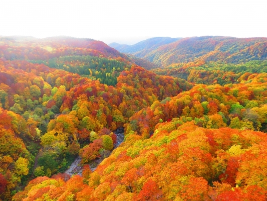 【2022年版】青森のおすすめ紅葉スポット17選!美しい自然の中の紅葉を紹介のイメージ