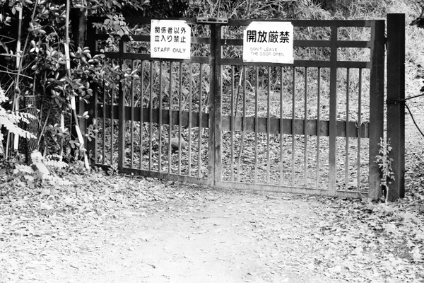 【最新版】神戸市周辺の心霊スポット21選!やばい公園や危険なトンネル、人気YouTuberが訪れた最恐スポットも!のイメージ
