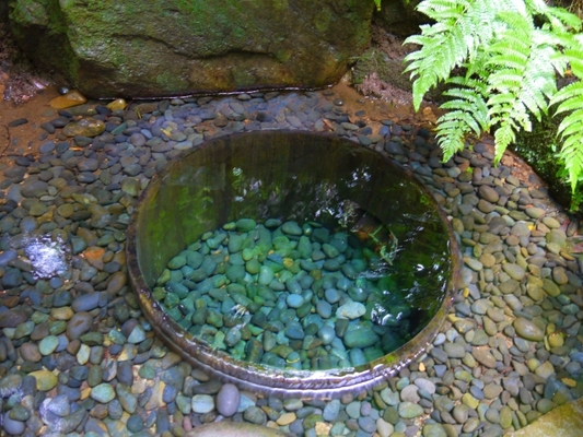 明治神宮「清正の井戸」の待ち受け画像は効果アリ?逆効果?口コミや体験談を徹底調査!のイメージ