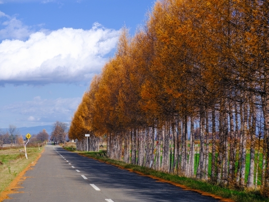【2022年版】北海道のおすすめ紅葉スポット16選!早く起きて朝の紅葉を見よう!のイメージ