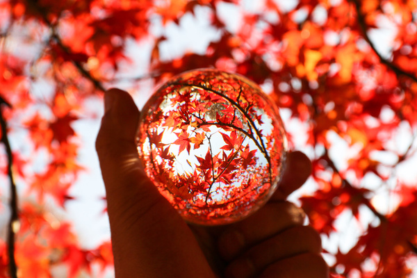 【2022年版】栃木の紅葉おすすめ16選!秋になったら紅葉を見に栃木へ行こう!のイメージ
