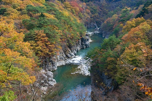 【2022年版】和歌山のおすすめ紅葉スポット25選!人気の名所から穴場まで、見頃の時期やライトアップ情報を徹底解説のイメージ