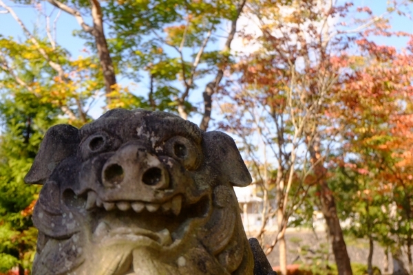 【2022年版】沖縄に紅葉スポットはある?沖縄での秋の楽しみ方について解説のイメージ