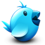 twitter bird