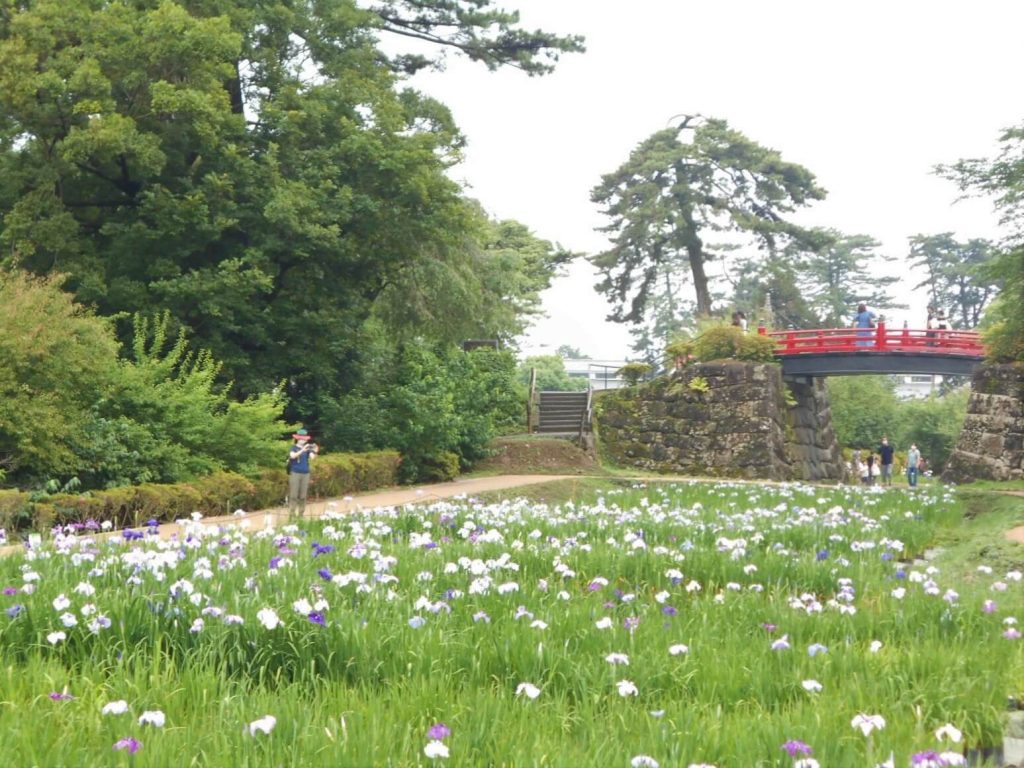 公園2