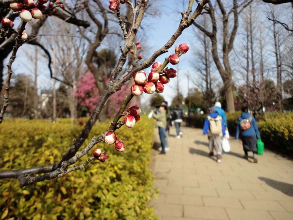 園内の風景