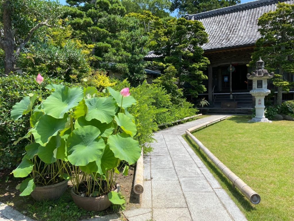 宝金剛寺8