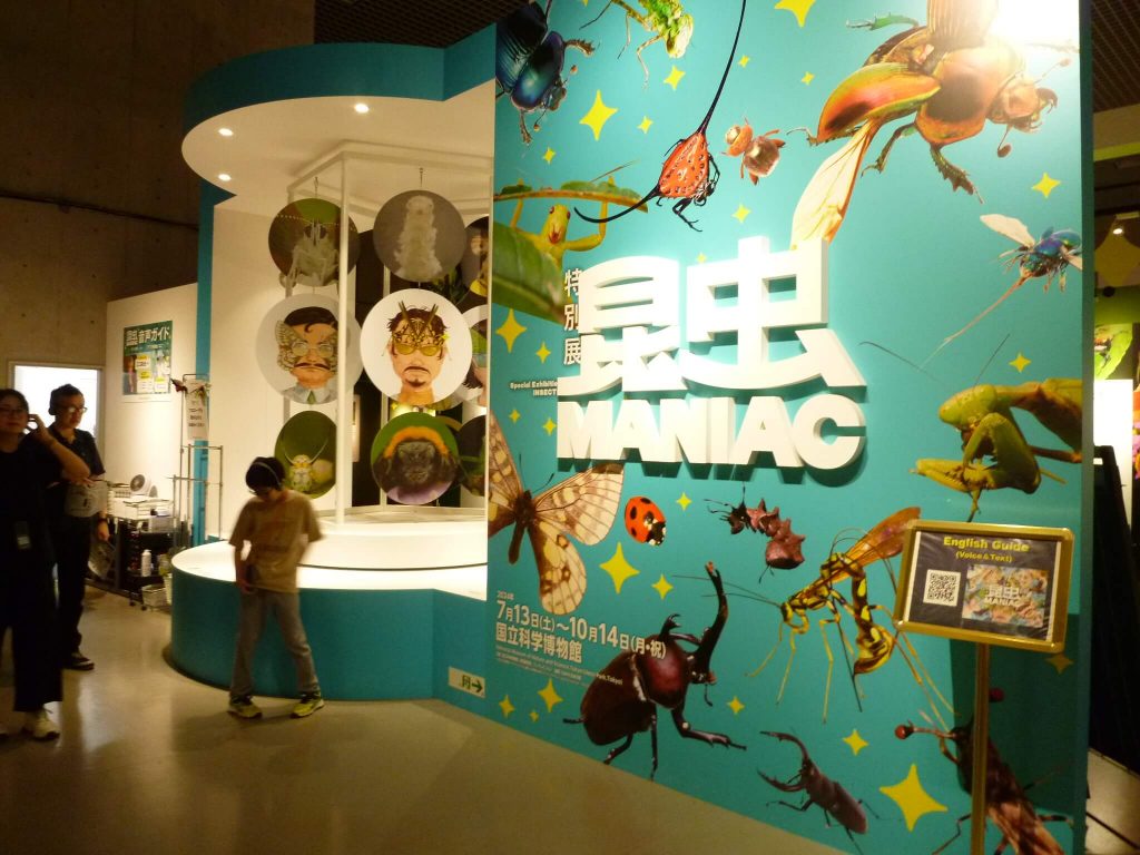 特別展