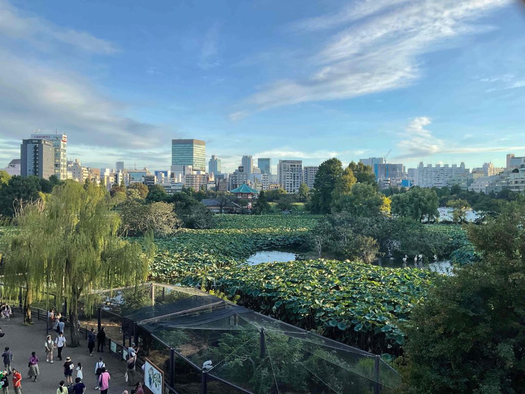 高台からの不忍池