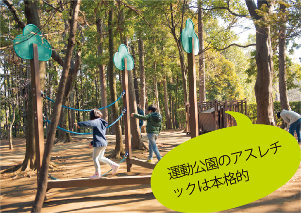 写真 | 運動公園のアスレチックは本格的