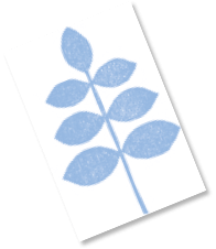 イラスト