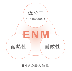 ENMトライアングル