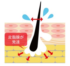 記事番号:70281/アイテムID:2252695の画像