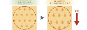 記事番号:70281/アイテムID:2252701の画像