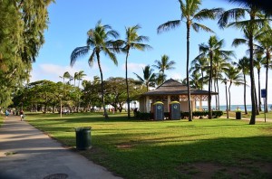 hawaiimatome1