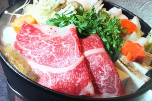 sukiyaki-free