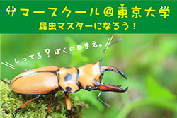 サマースクール@東京大学!