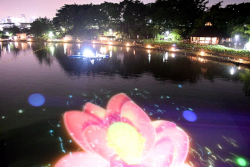 千葉公園イベント