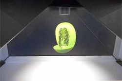 科学技術館