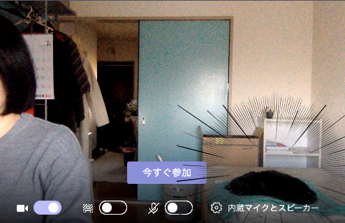 テレワークが始まった直後くらい。なまこのように眠るすずりさん