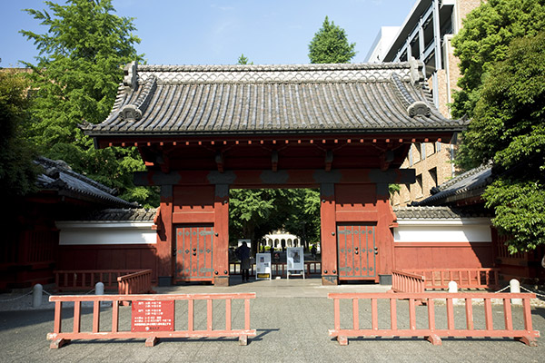 東京大学
