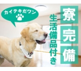 【履歴書不要☆LINE面接OK】☆土日祝休み!☆勤務地は埼玉県北葛飾郡♪【家具家電付1R完備】調味料の検品作業のお仕事です!