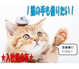 《新着情報安定企業でお仕事きめちゃいましょう!!》 交通費支給あり☆時給1050円〜☆ 【瑞穂町】自動車・航空機部品のプレス、組み立て作業員さん大募集!!!