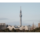 話題の「東京スカイツリー」でお仕事♪
