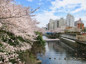 前回の分析結果では、理論賃料に比べて募集賃料が割安な物件が多い地域として、古くから人気の高い住宅地を内包するエリア:目黒区・世田谷区・渋谷区と、東京駅などの都心部への交通利便性が高く近年人気が高まっているエリア:荒川区・足立区の2グループが選定された