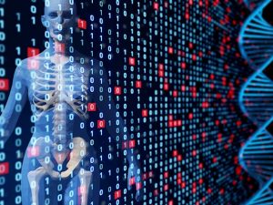 人は遺伝子の中に、過去に感染したウイルスの遺伝情報を内包しているそうで、これを内在性レトロウイルスと呼ぶ。この内在性レトロウイルスの働きのひとつに、胎児の父親由来の形質を母親の免疫の攻撃から守るというものがあるそうだ。我々が母親だけでなく父親にも似ているのはウイルスのおかげだというのが面白い