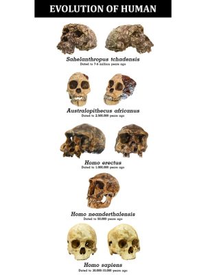 人類の進化には、ウイルスの存在が何らかの役割を果たしているのではないかという学説がある。これに関しては意見が分かれていて、今後の研究を待つ必要があるが、ホモ・サピエンス・サピエンスが生まれた16万年前よりはるか昔、数十万年前には既にウイルスに感染していたという痕跡がヒトゲノム解析で近年発見された。人類とウイルスには太古の昔より深いかかわりがあったことは間違いなさそうである
