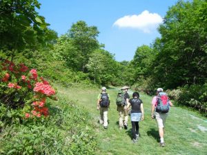 かみのやま温泉で知られる山形県上山市。クアオルトウオーキング専用のコースを歩く「毎日ウオーキング」が開催され、市民は参加費無料、市外の人は有料で参加できる <br>※記事トップの画像は上山市クアオルト推進室提供