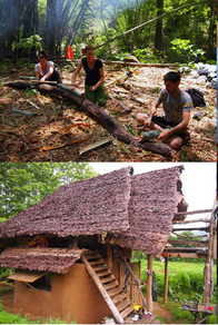 Tinyreportsimg_j20130104152449