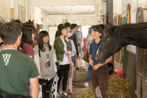 オープンキャンパス時のみ運行している巡回バスに乗って馬術部を見学することができます。活動は朝早くからありますが、馬が好きな人は入学後にぜひ見学に行ってみてください。