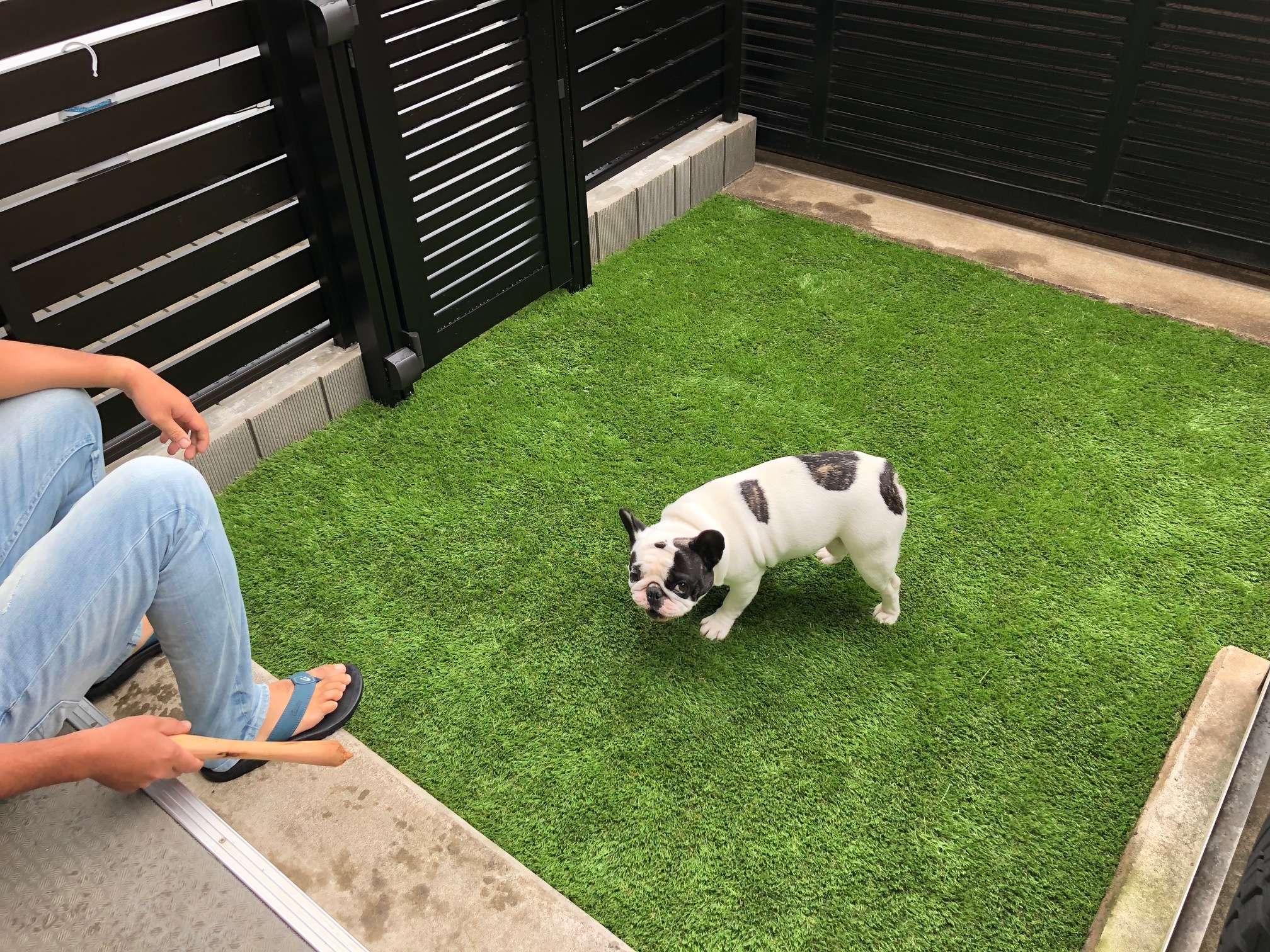福島県福島市 ドッグガーデン エクステリアは福島市の犬と住まいるコーディネーターlittle Bare Gardenへ