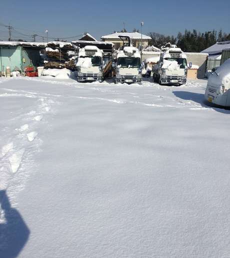 Middle jcz5e43ys firvhoghlida