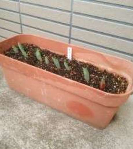 Middle  a1dn1sbs dyref2furwyq