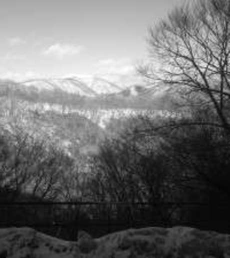 Middle dqiepoqemoxqenrpbytsqq