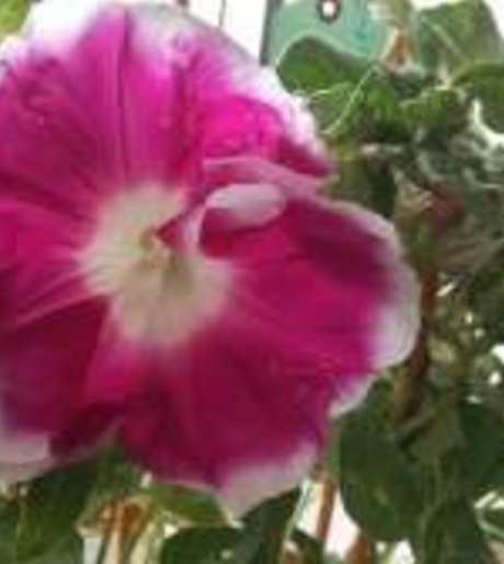 Middle krmlz zhll1s4y29qujvhq