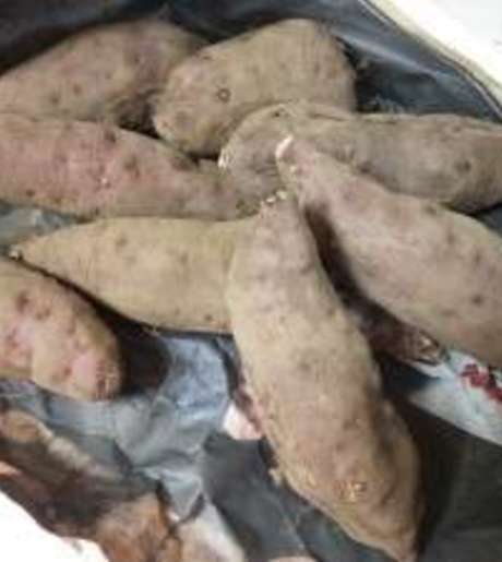 Middle i2i  fklzojq 30yvdxt9a