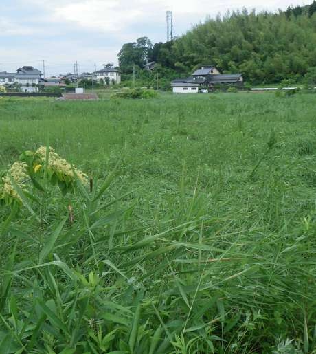 Middle 7xsu9lsncxqd4sd2pt94kg