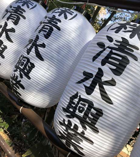 Middle mwskcd1oekdwgaobskveha