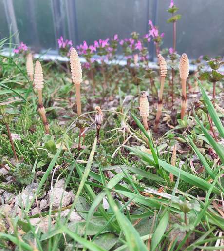 Middle ryckm1lvr 4xlbvh2189vw