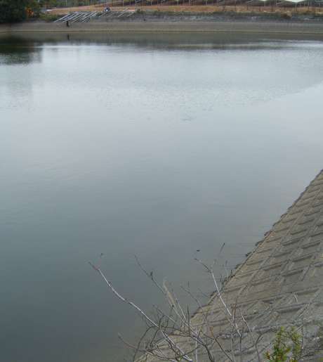 Middle mnnxbbflvdlk8lsuaydjgg