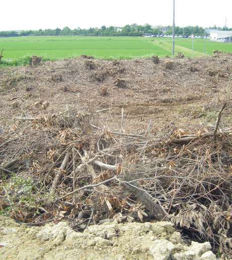 Middle 6ma19 dycqnwwogg7g32mw