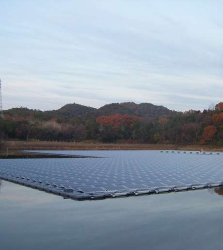 Middle trfyjylm8gwronxso8spuq