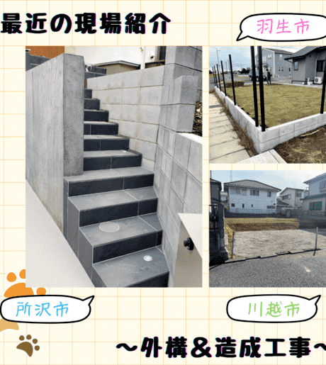 Middle pg c64wzr wyq41pqatela