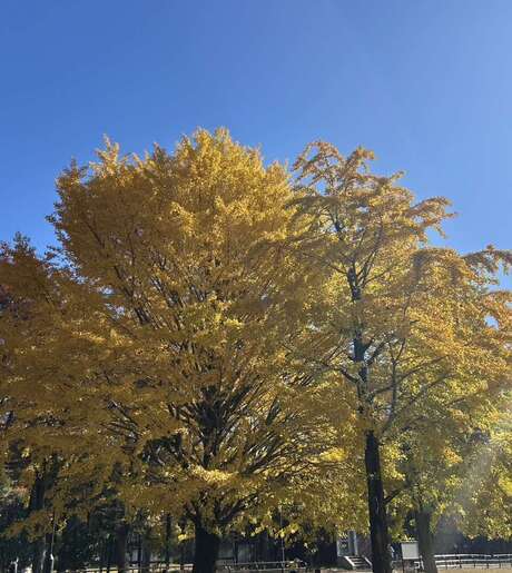 Middle qjrmaimfe yn3rfu3zzo0g