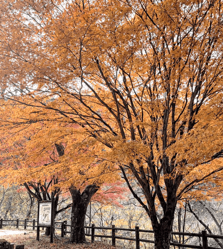 Middle pguvtl5exmdpnkd7ctmrww